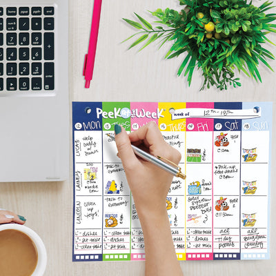 Dream Gift Planner Bundle | 2024-25 Reminder Binder® Planner | [2] Planner Pads, Pocket Notebook & Mini Desktop Calendar