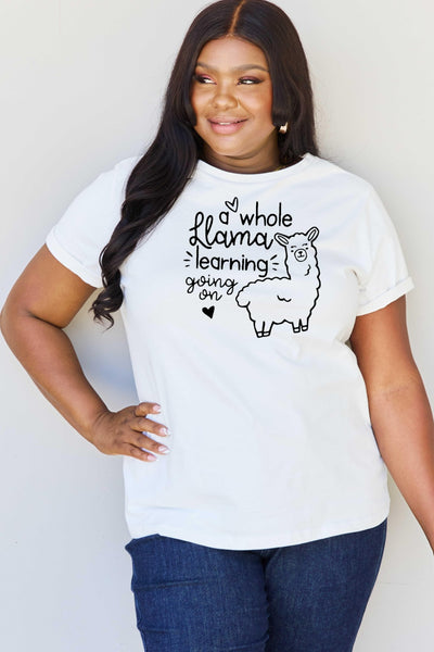 A WHOLE LLAMA LEARNING Graphic T-Shirt